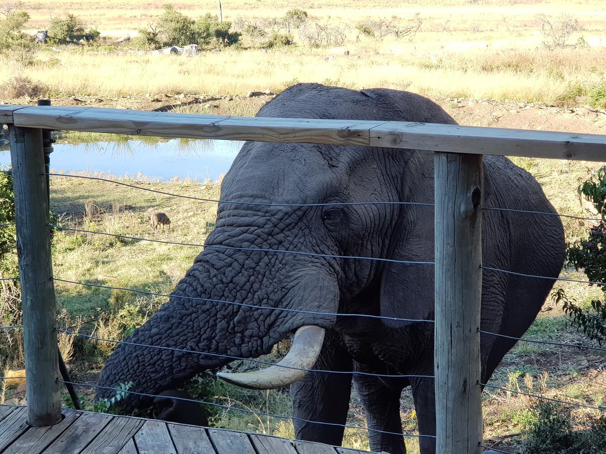 Nambiti Plains Lodge Ladysmith Exterior foto