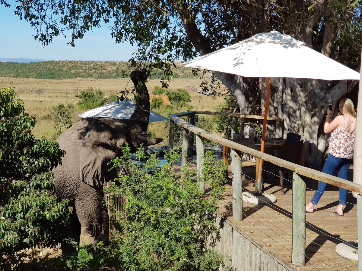 Nambiti Plains Lodge Ladysmith Exterior foto