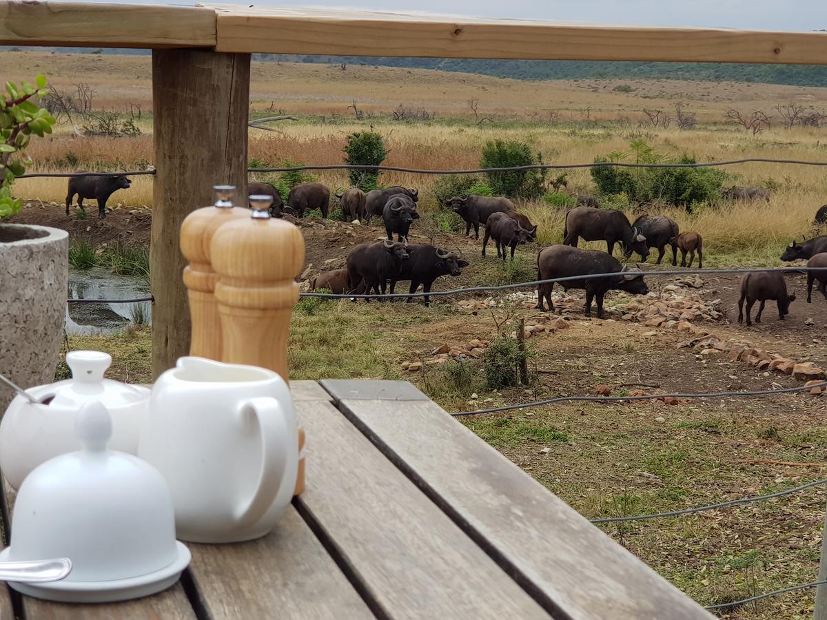 Nambiti Plains Lodge Ladysmith Exterior foto