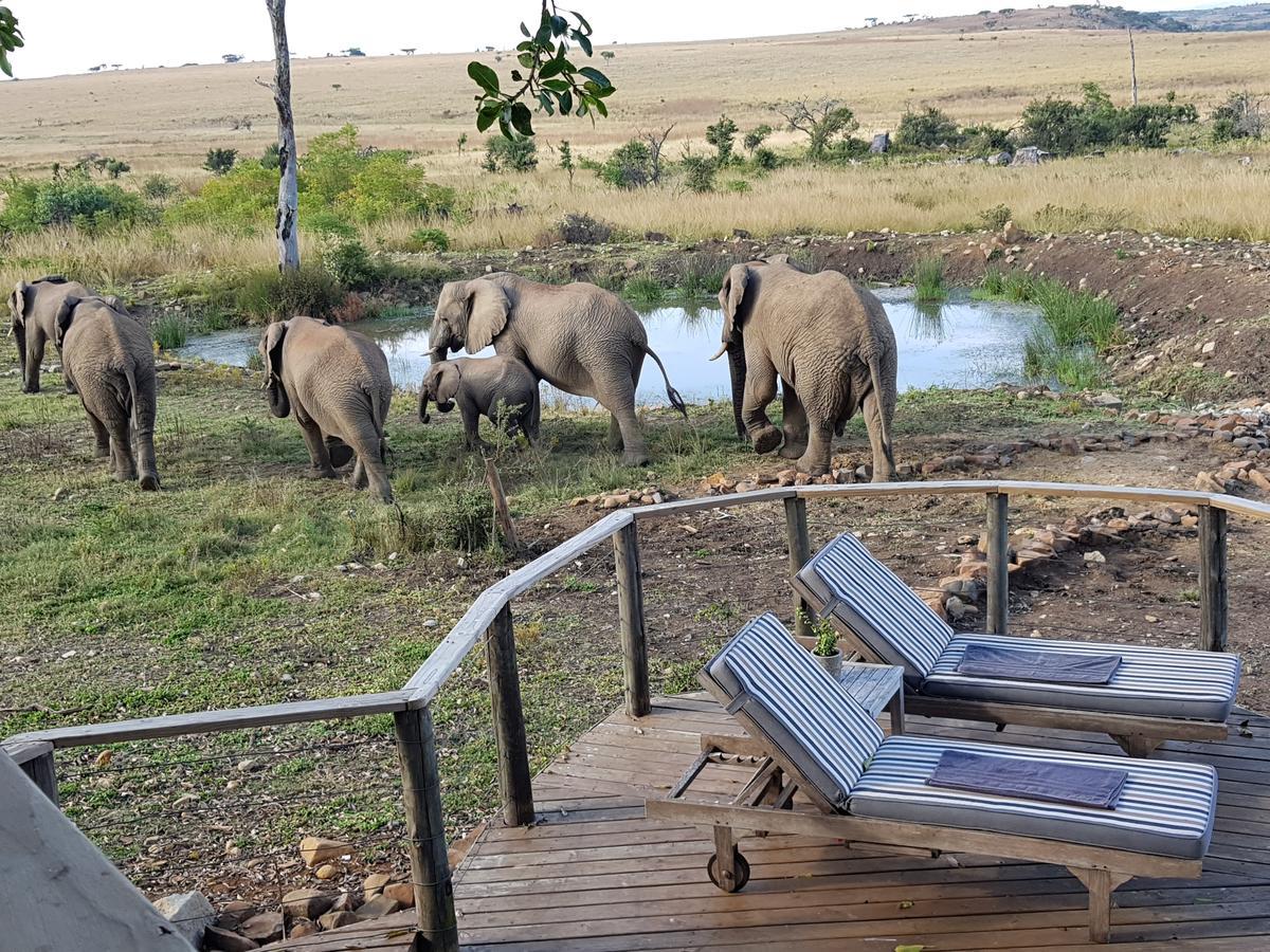 Nambiti Plains Lodge Ladysmith Exterior foto