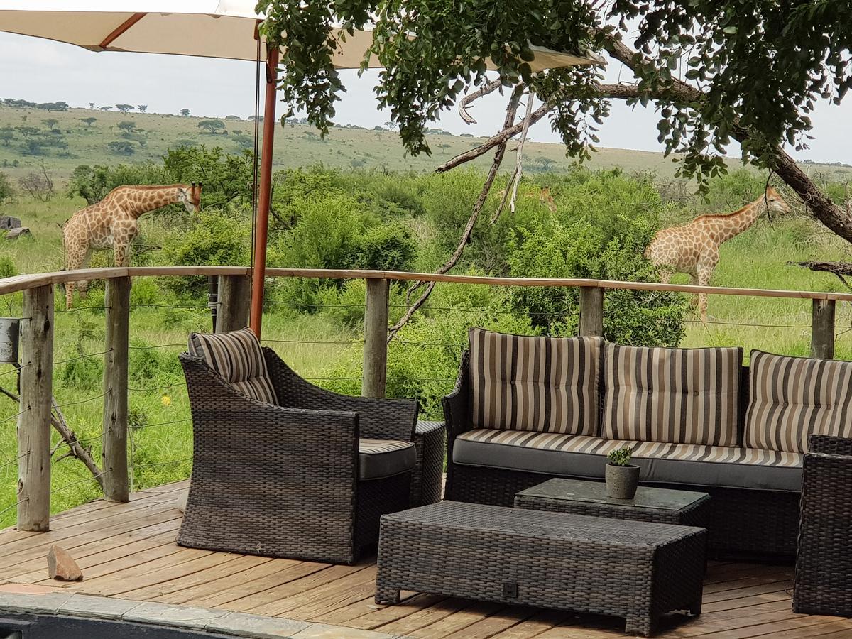 Nambiti Plains Lodge Ladysmith Exterior foto